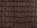Brown Croc color