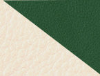 Sand/Fairway Green color